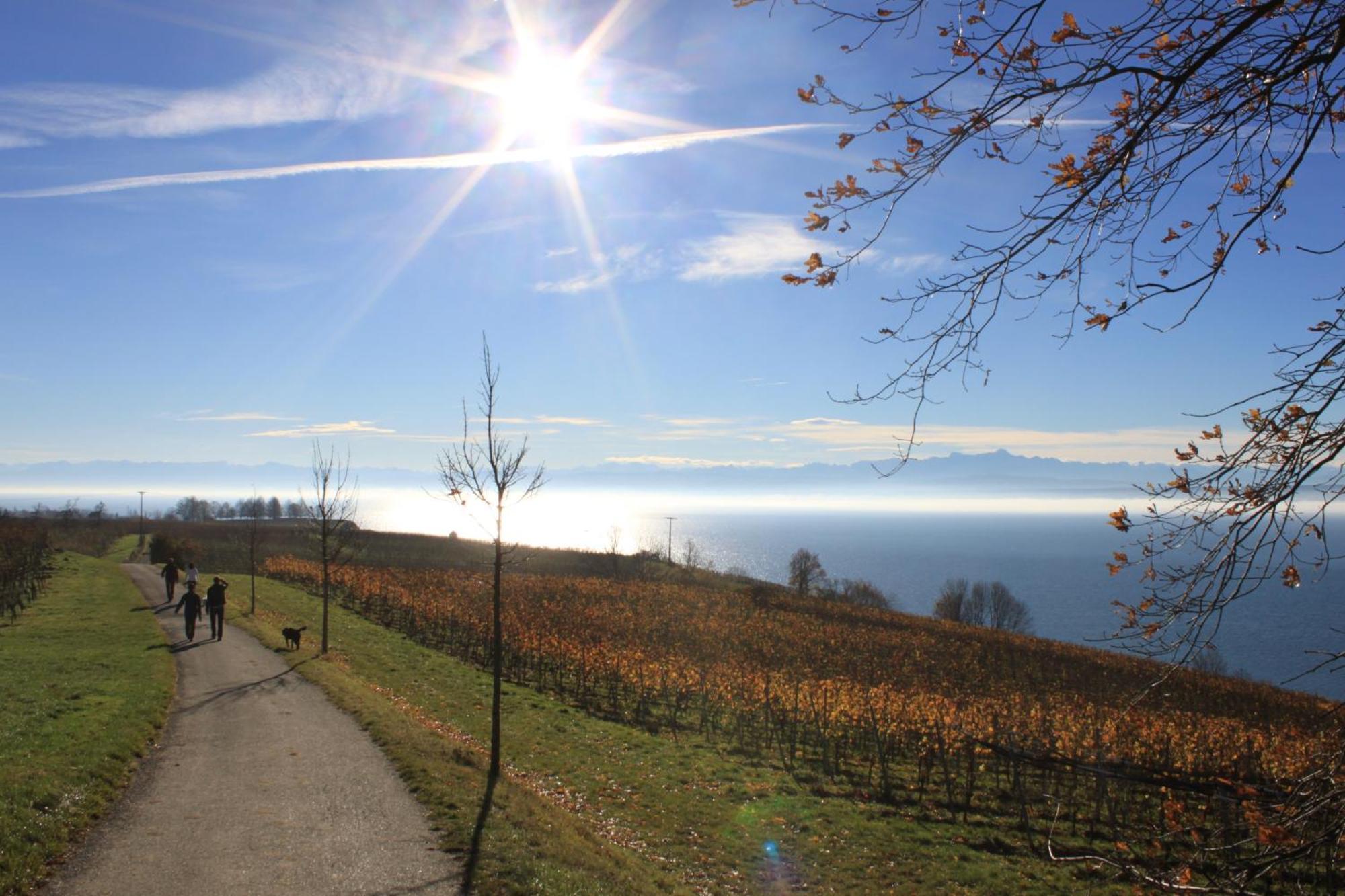 Hotel Garni Eden Meersburg Zewnętrze zdjęcie