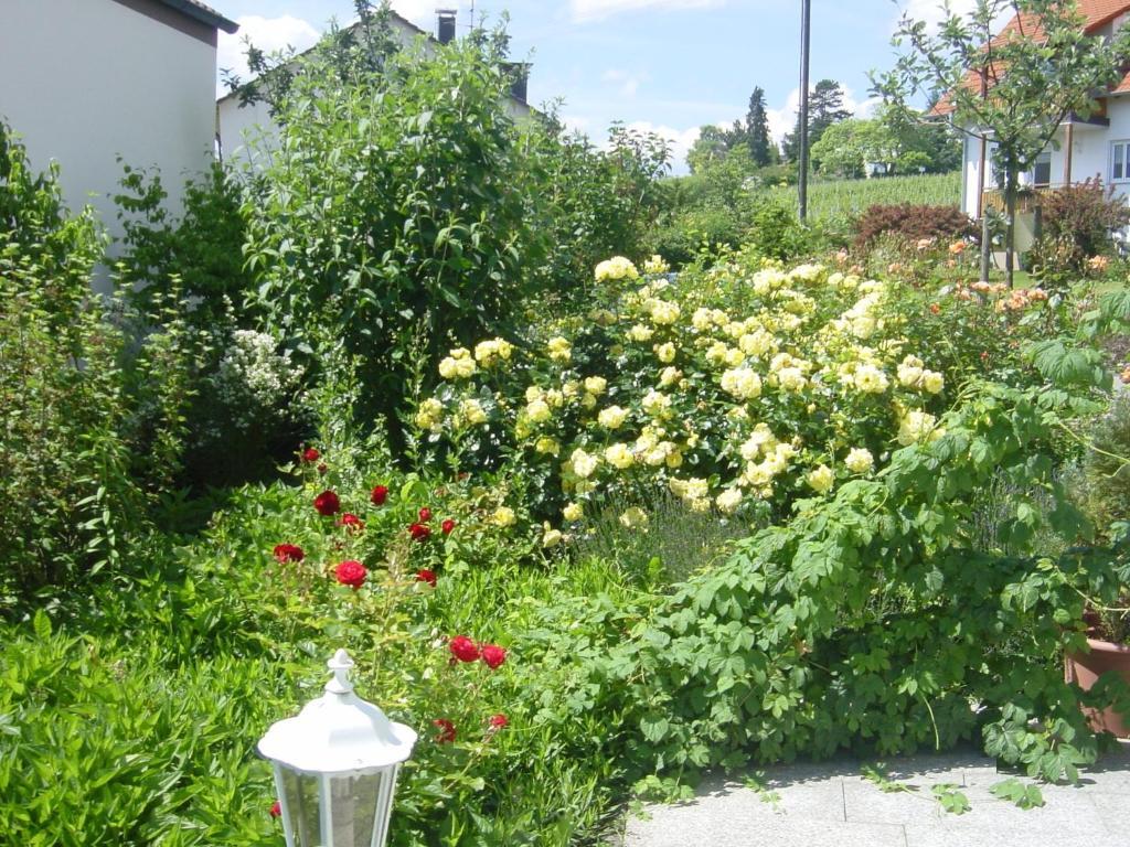 Hotel Garni Eden Meersburg Zewnętrze zdjęcie